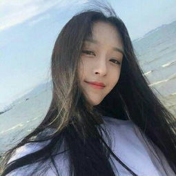 叶飞江月沈东星